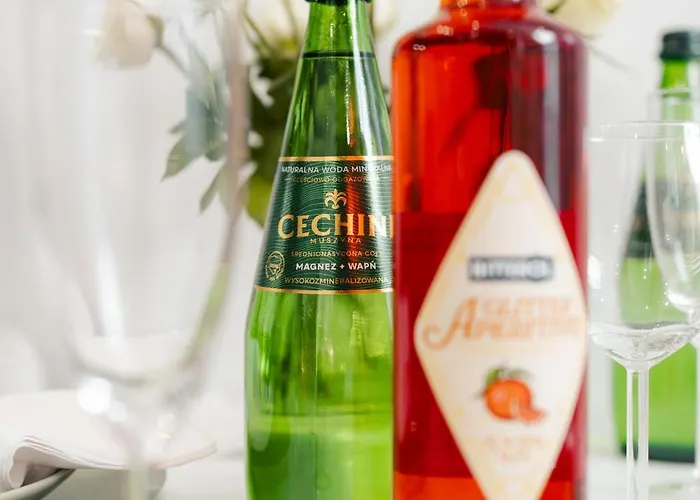 Lägenhet Furmanska - Old Town Lublin